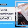 Types of verbs in Telugu with examples | తెలుగులో స్పోకెన్ ఇంగ్లీష్