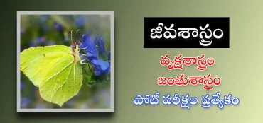 బయాలజీ ప్రాక్టీస్ ప్రశ్నలు & సమాదానాలు – పోటీ పరీక్షల కోసం