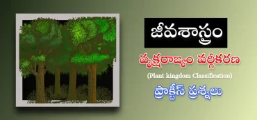 వృక్షరాజ్యం వర్గీకరణ  ప్రాక్టీస్ ప్రశ్నలు మరియు సమాదానాలు