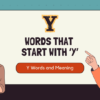 100 common words starting with Y, along with their meanings