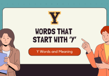 100 common words starting with Y, along with their meanings