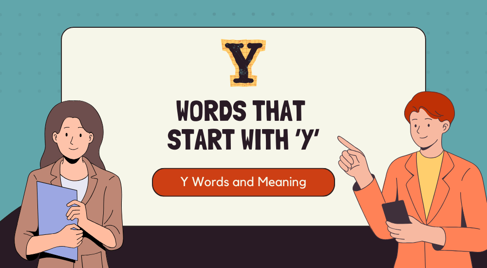 100 common words starting with Y, along with their meanings