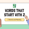 100 words starting with Z, along with their meanings